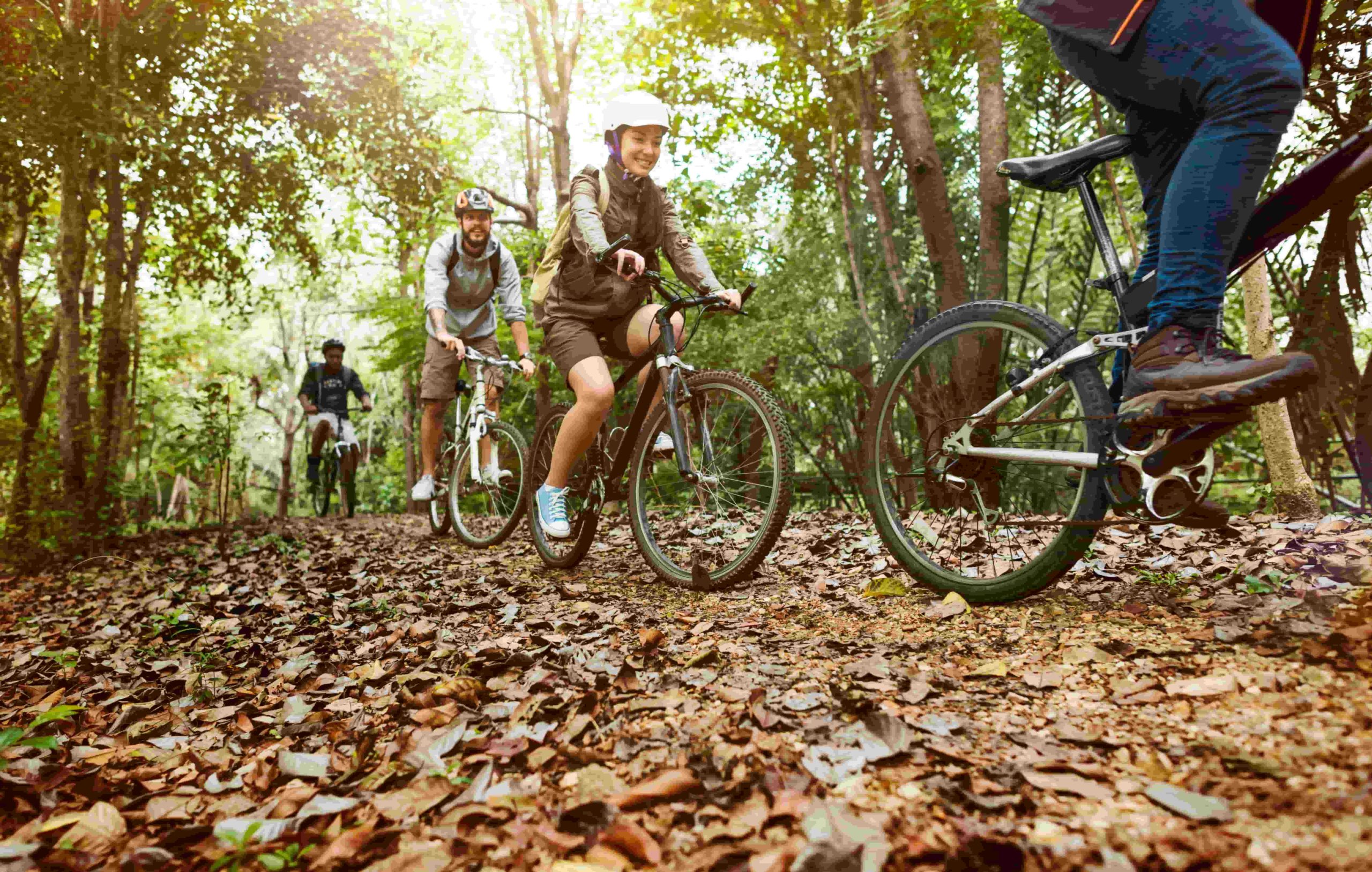 activité séminaire entreprise yvelines vélo